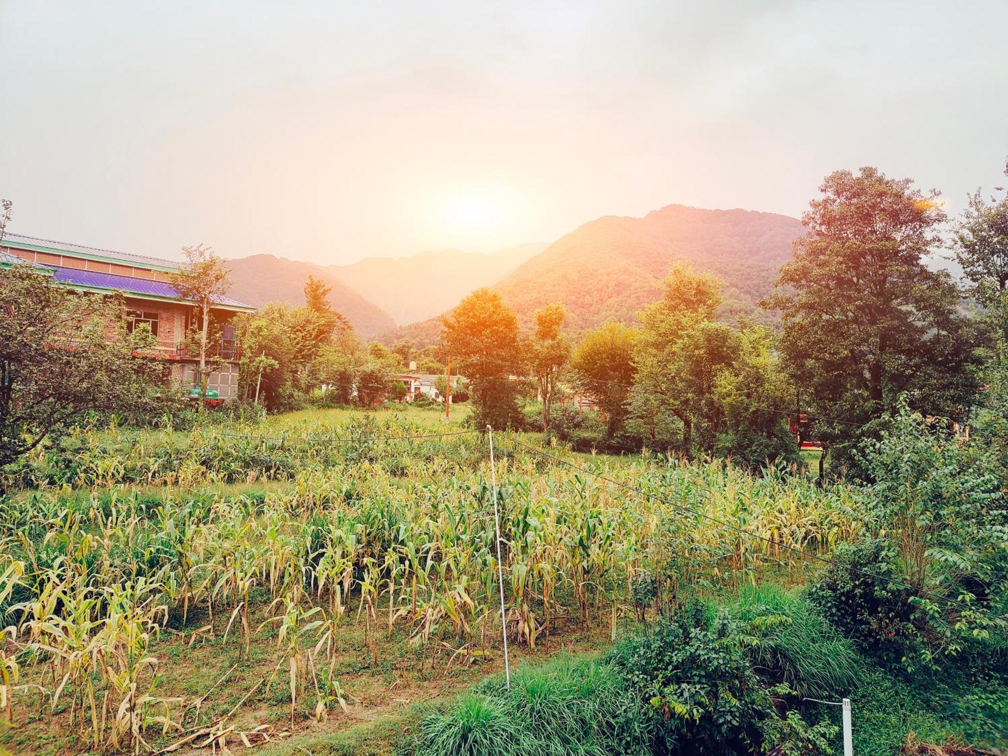 Aditya Homestay Bir-Billing Surrounded By Mountains 外观 照片